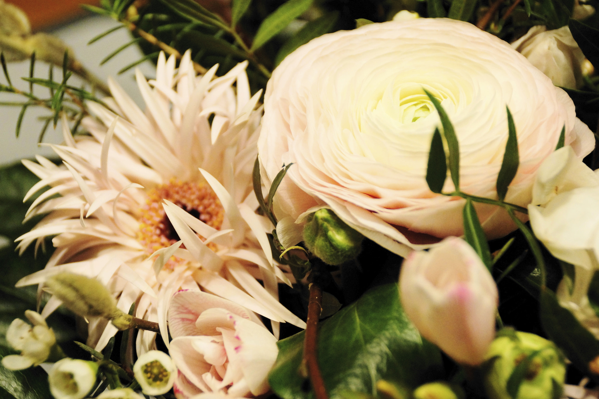 Sony DT 18-200mm F3.5-6.3 sample photo. Dsc photography