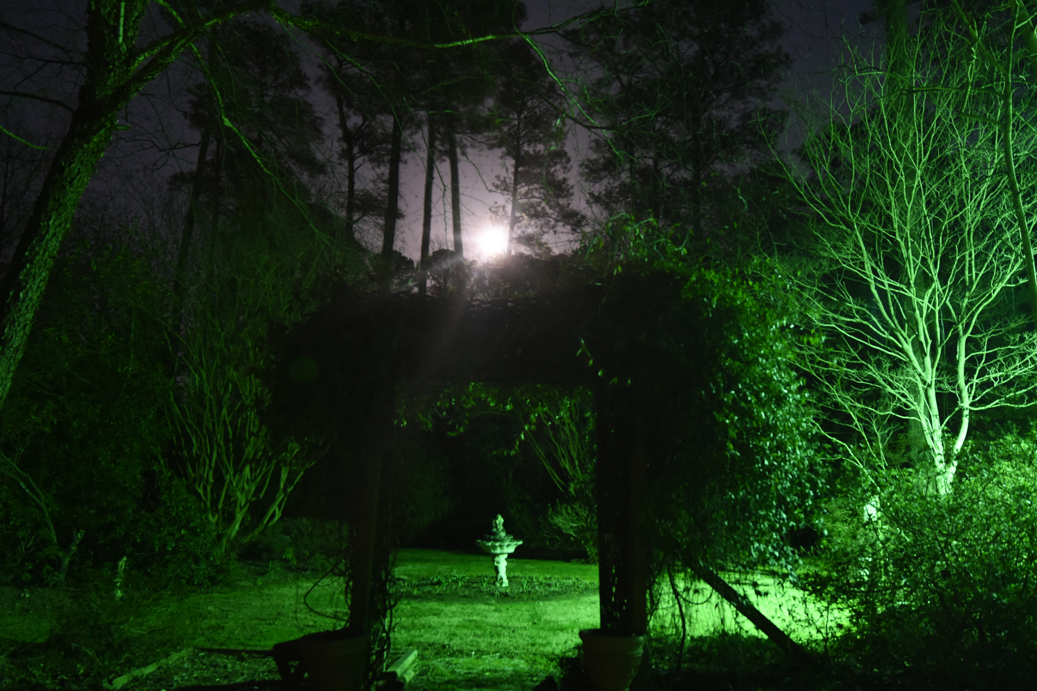 Nikon D3400 sample photo. Creepy courtyard at night photography