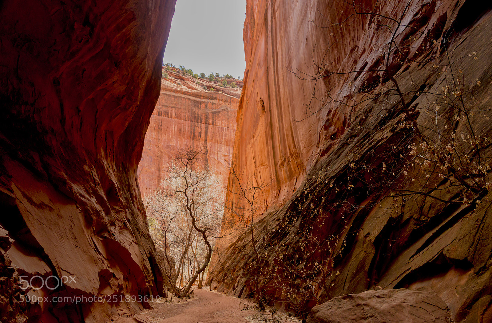 Nikon D800 sample photo. Escalante canyon photography