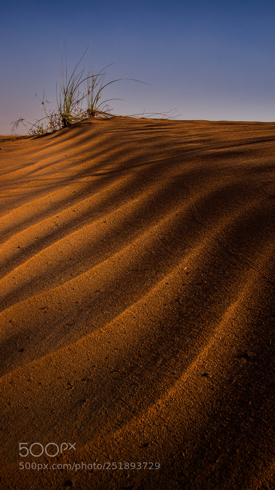 Canon EOS 80D sample photo. Morning desert photography