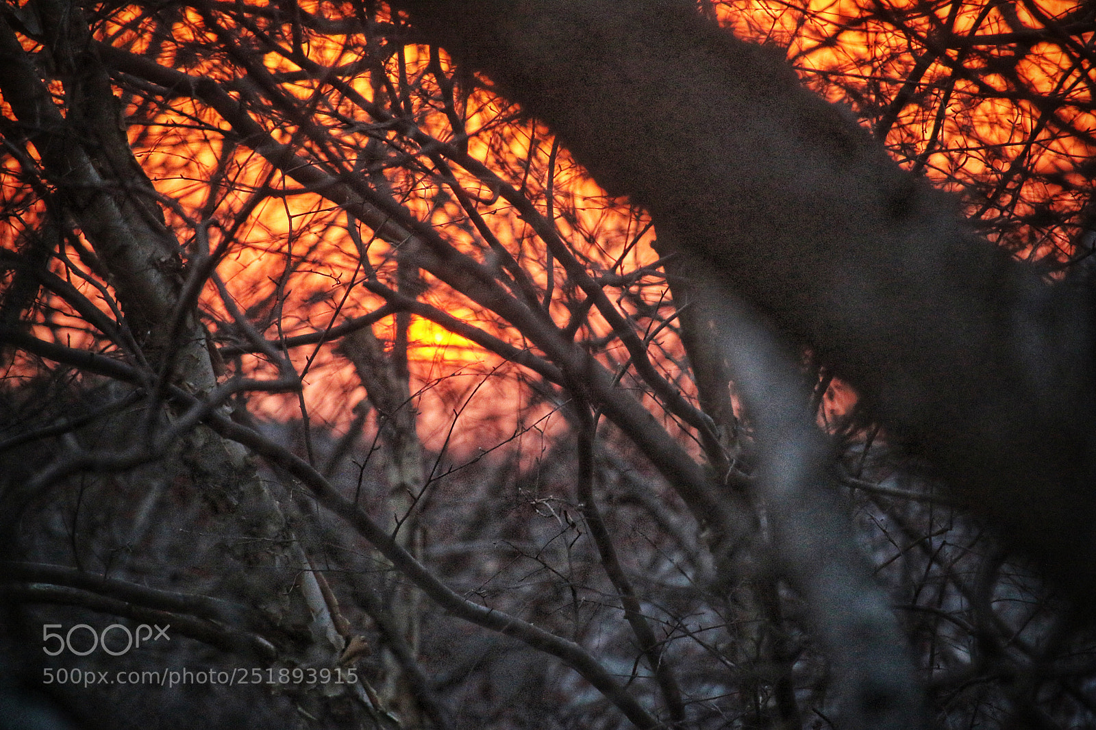 Canon EOS 70D sample photo. Dusk photography