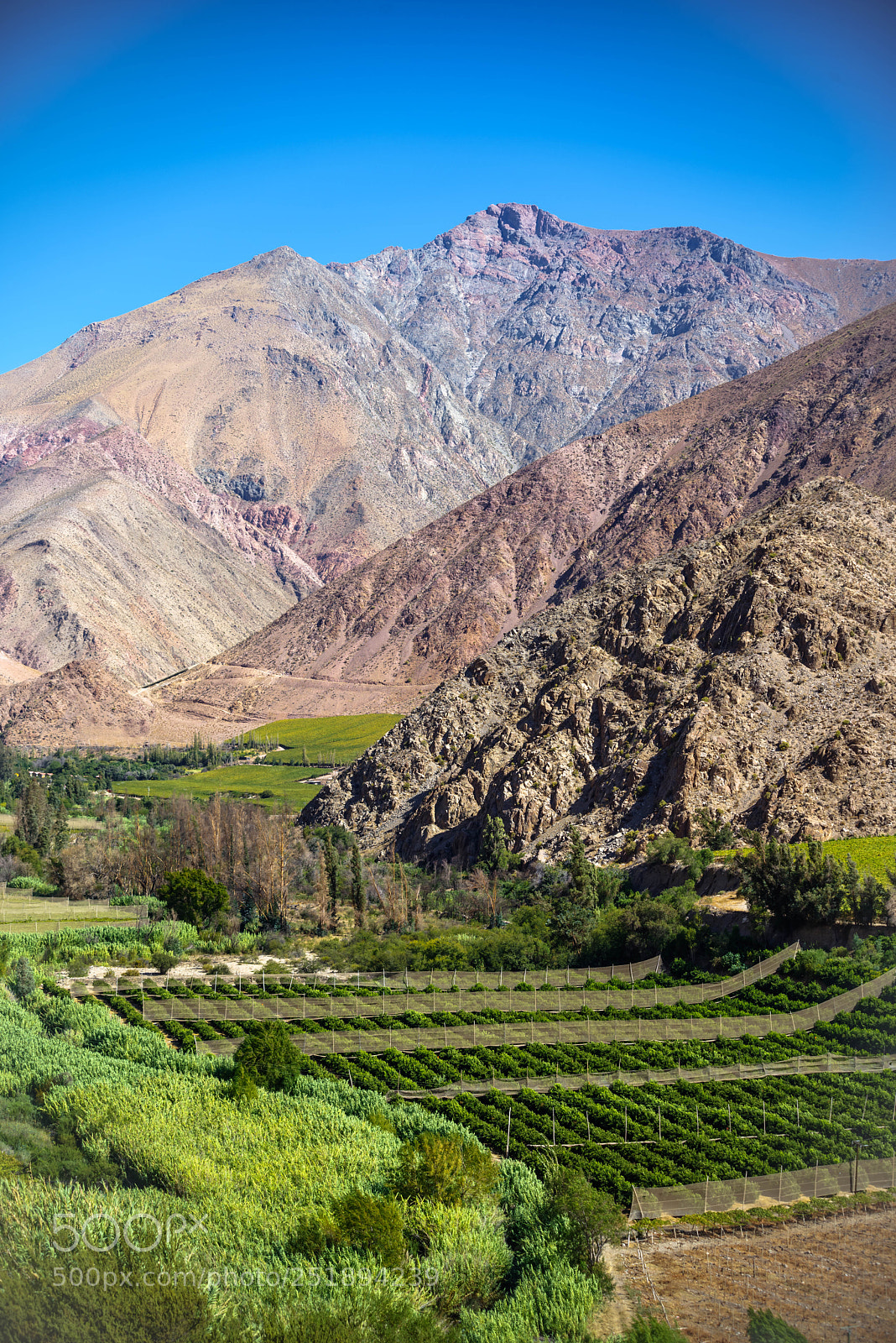 Pentax K-1 sample photo. El valle de elqui photography