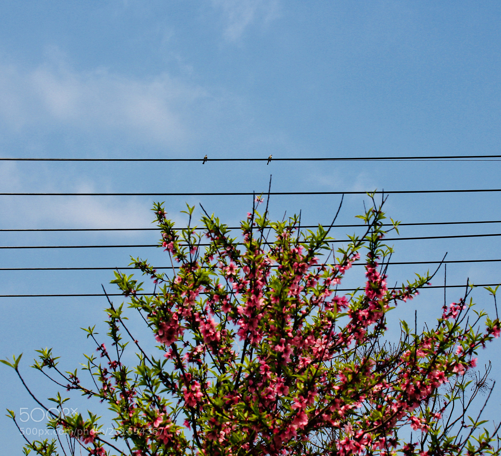 Canon EOS 700D (EOS Rebel T5i / EOS Kiss X7i) sample photo. Untitled photography
