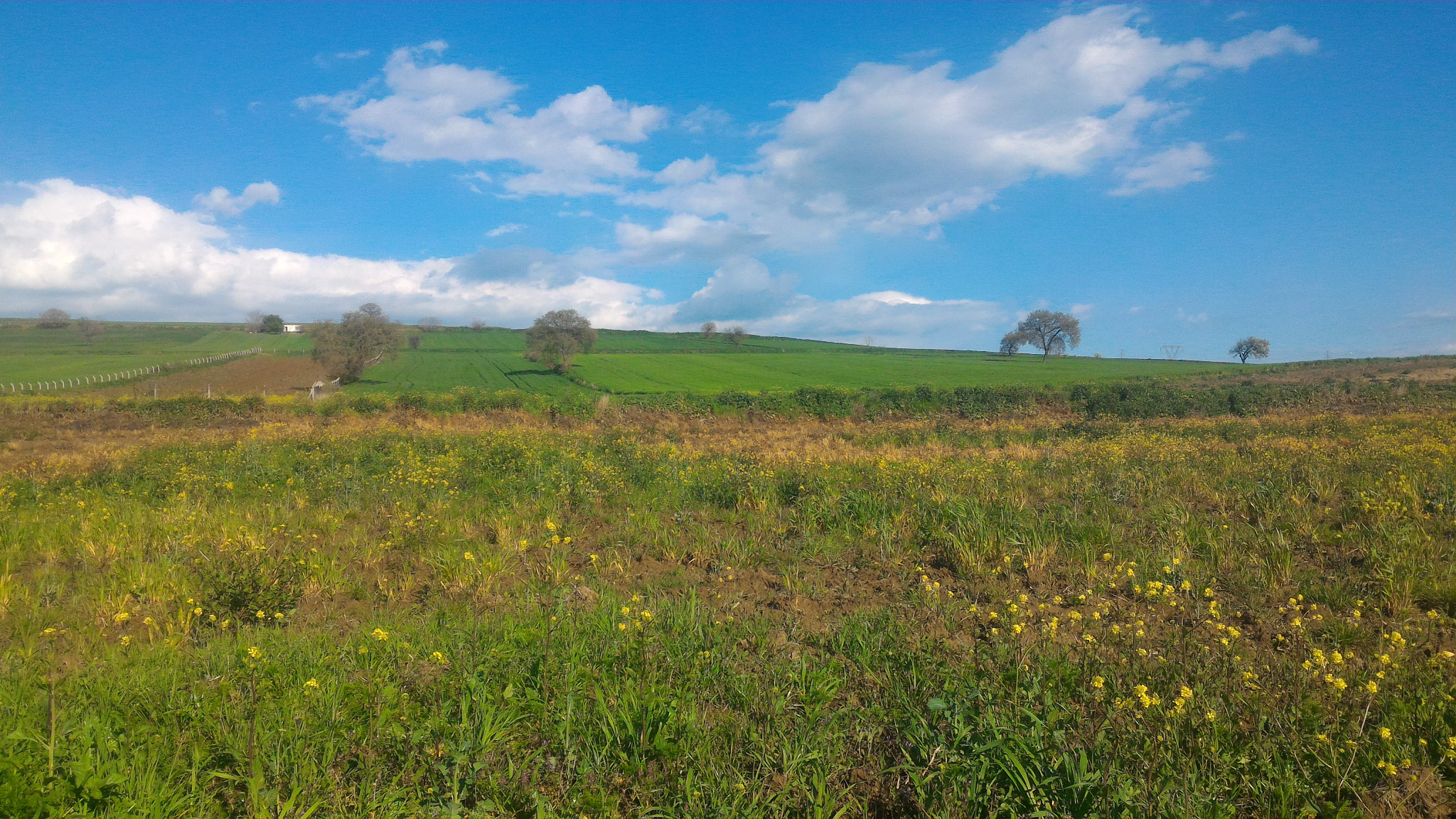 ASUS ZenFone 2 (ZE551ML) sample photo