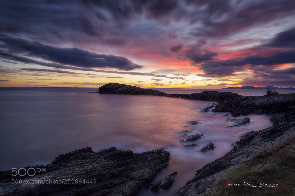 Nikon D800 sample photo. Ballena con sures photography