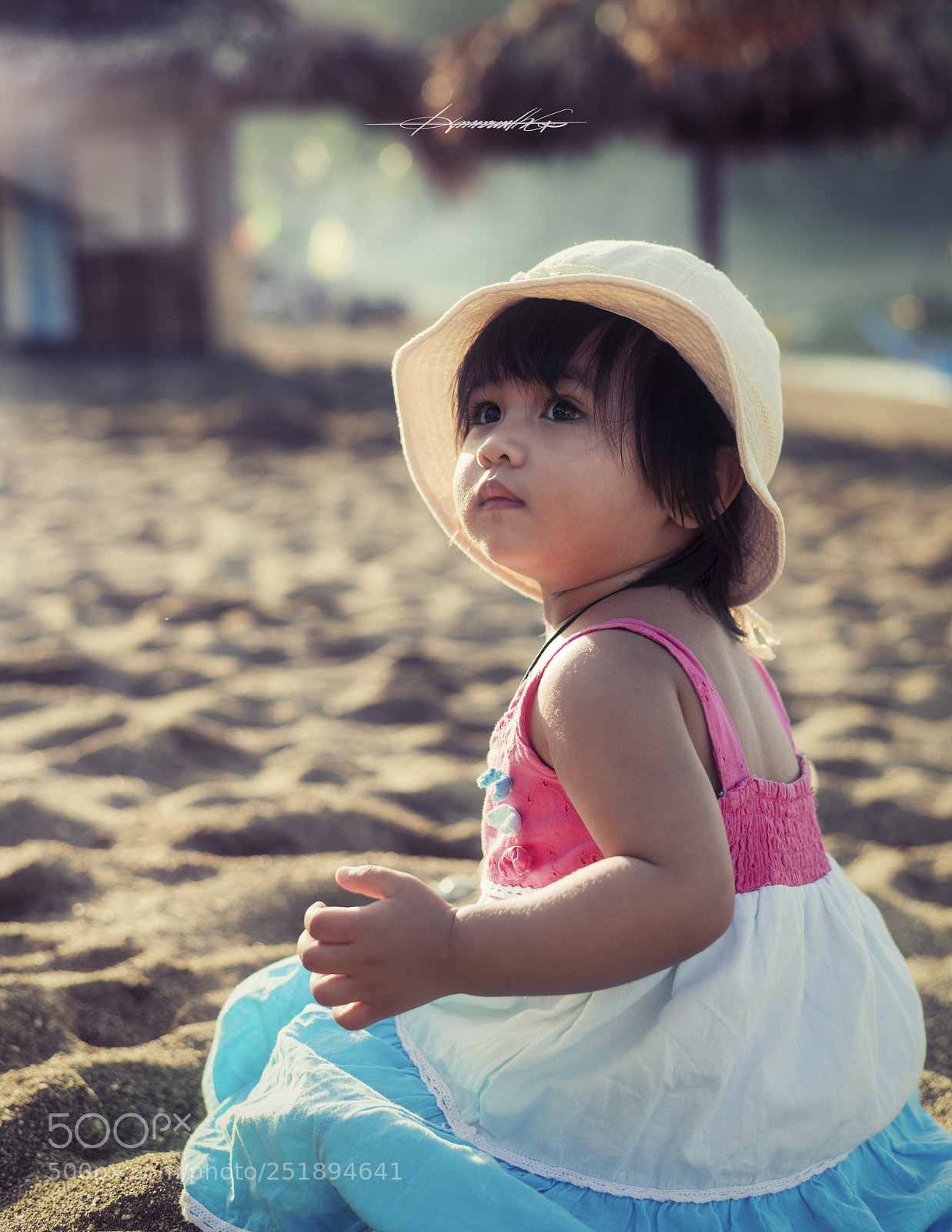 Nikon D850 sample photo. Swimming beach photography