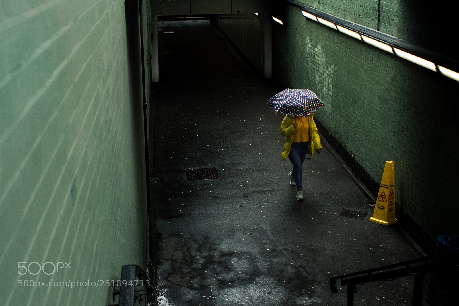 Canon EOS 60D sample photo. Yellow rain photography