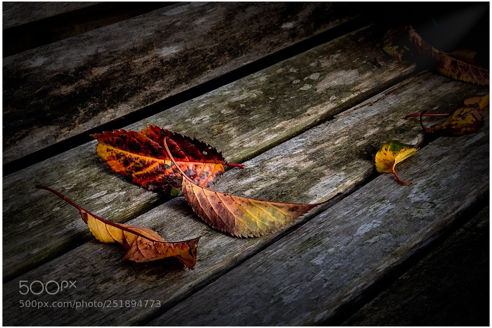 Fujifilm X-E2 sample photo. Garden bench photography
