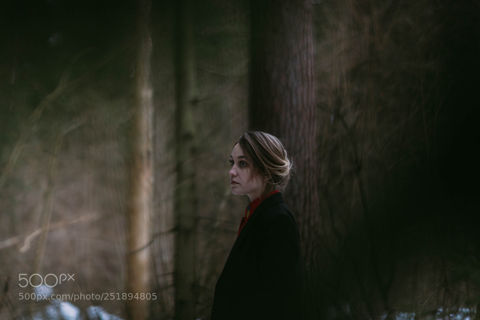 Canon EOS 5D Mark II sample photo. Untitled photography