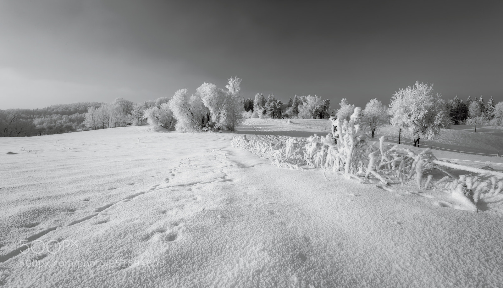 Canon EOS 5D sample photo. B&w photography