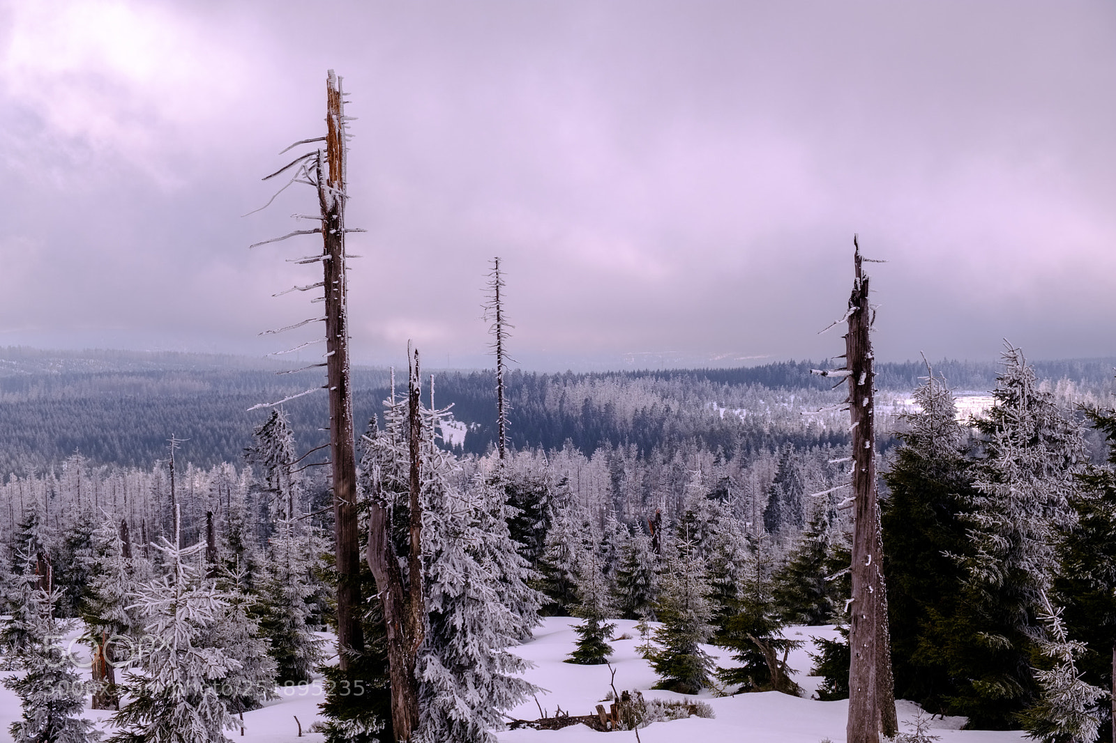 Fujifilm X-T2 sample photo. Easter on brocken photography