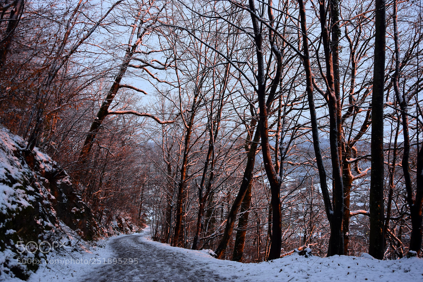 Nikon D3300 sample photo. Winterstille photography