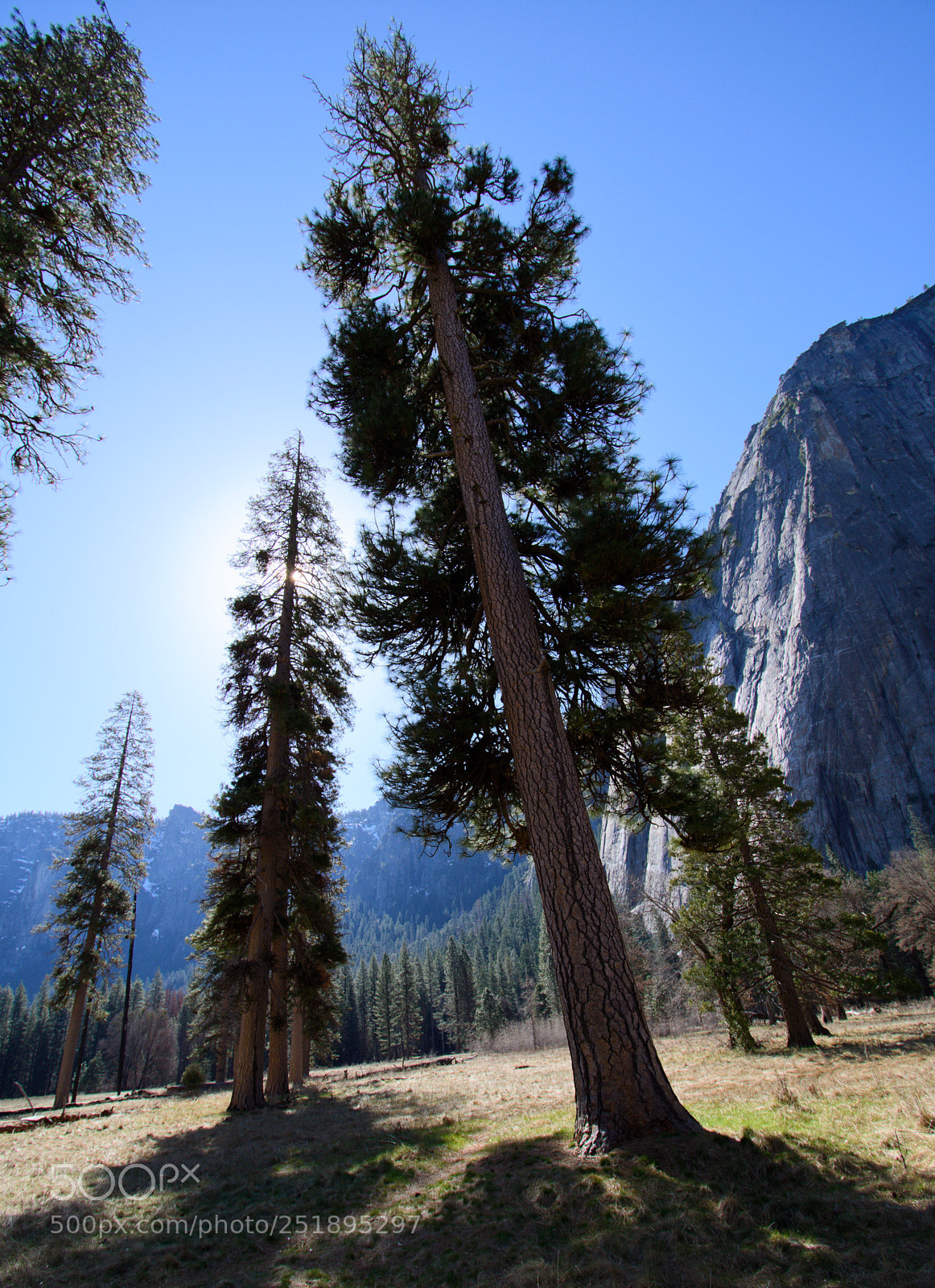 Nikon D7200 sample photo. Trying to be the photography