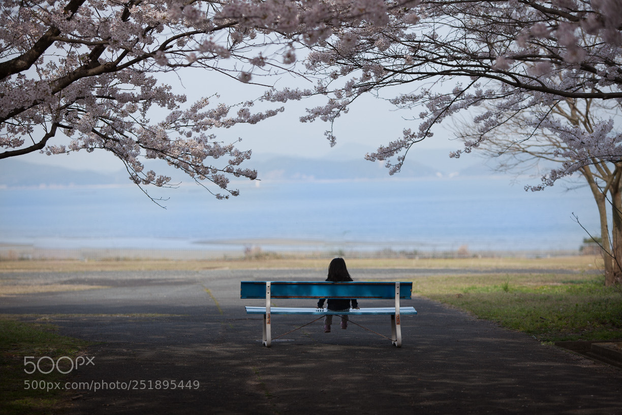 Canon EOS 5D Mark II sample photo. The girl who looks photography