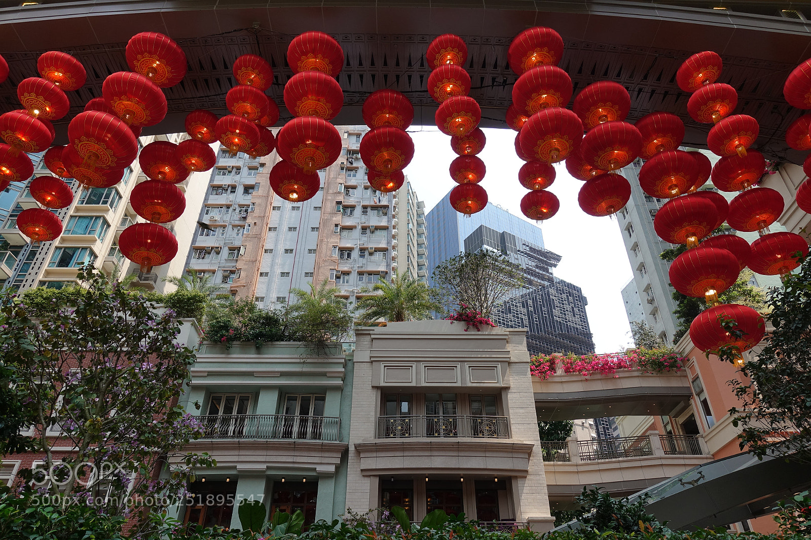 Sony DSC-RX100M5 sample photo. Hk wan chai .. photography
