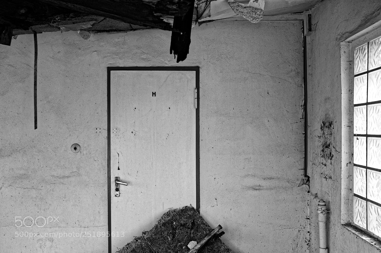 Fujifilm X100F sample photo. Untitled photography