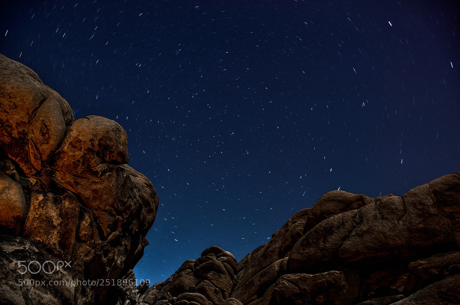 Nikon D300 sample photo. Joshua tree star trails photography