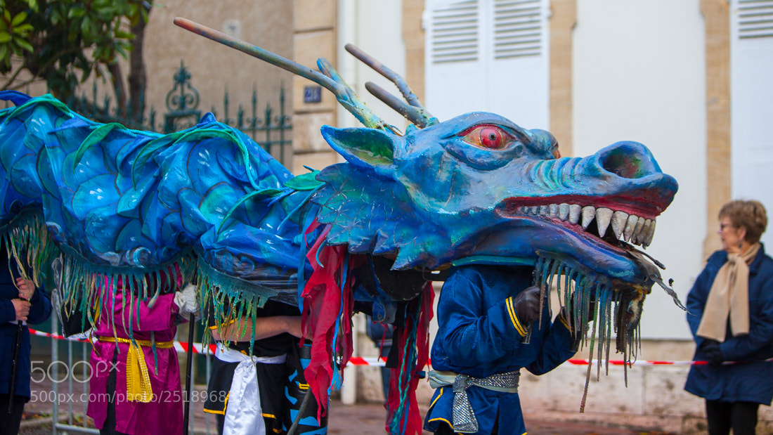 Canon EOS 5D Mark II sample photo. Carnaval les flambarts dreux photography