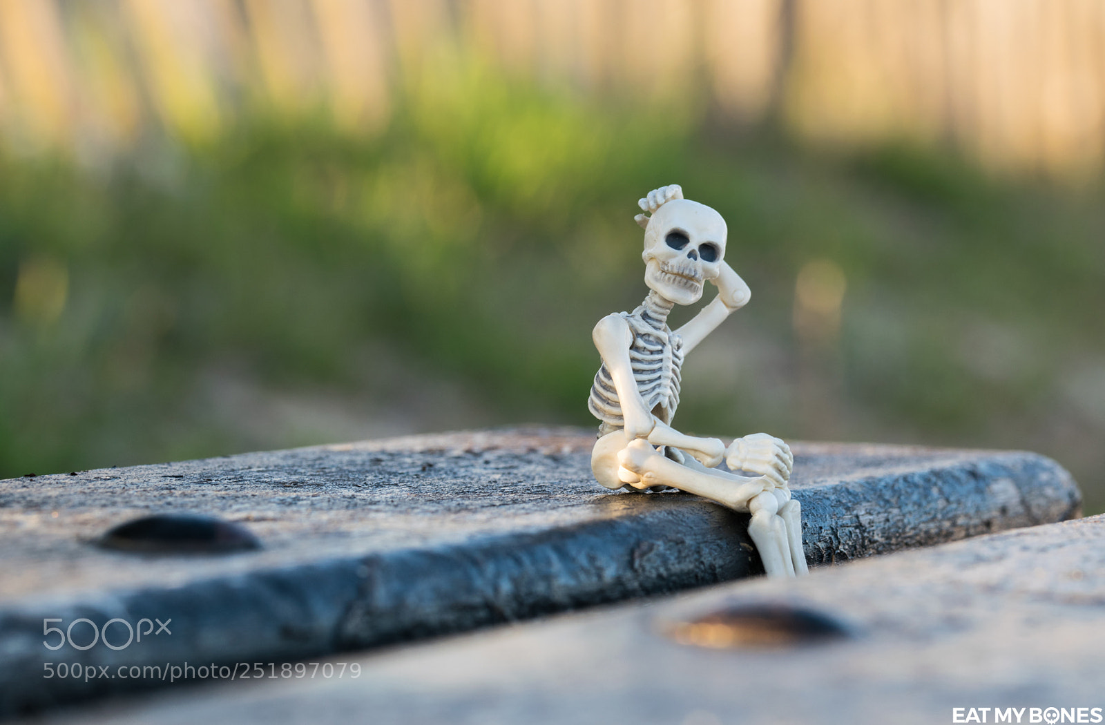Nikon D5300 sample photo. On a bench... photography