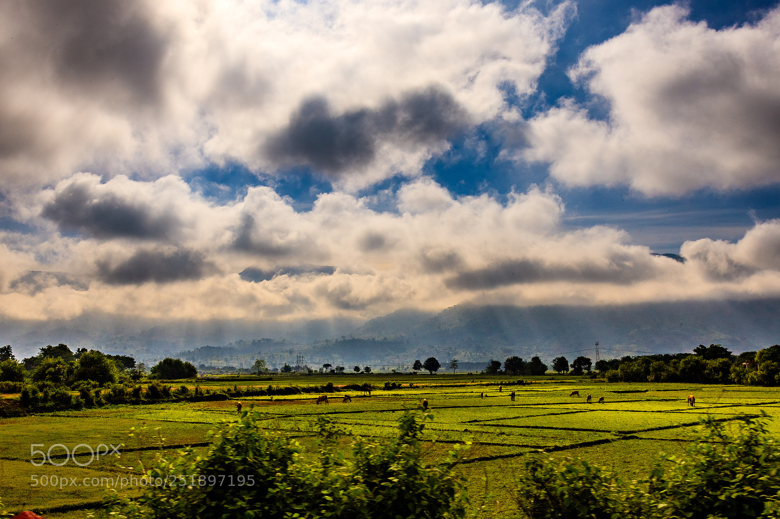 Canon EOS-1Ds Mark III sample photo. Tay nguyen 2 photography