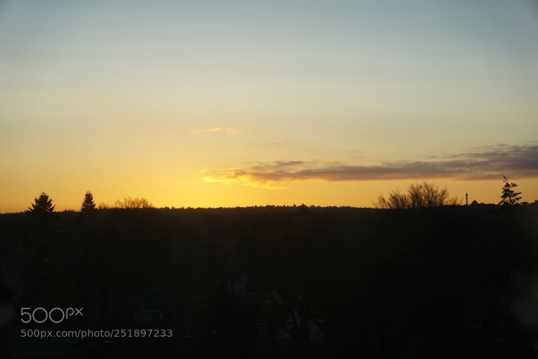 Sony DT 16-50mm F2.8 SSM sample photo. Sun1 photography