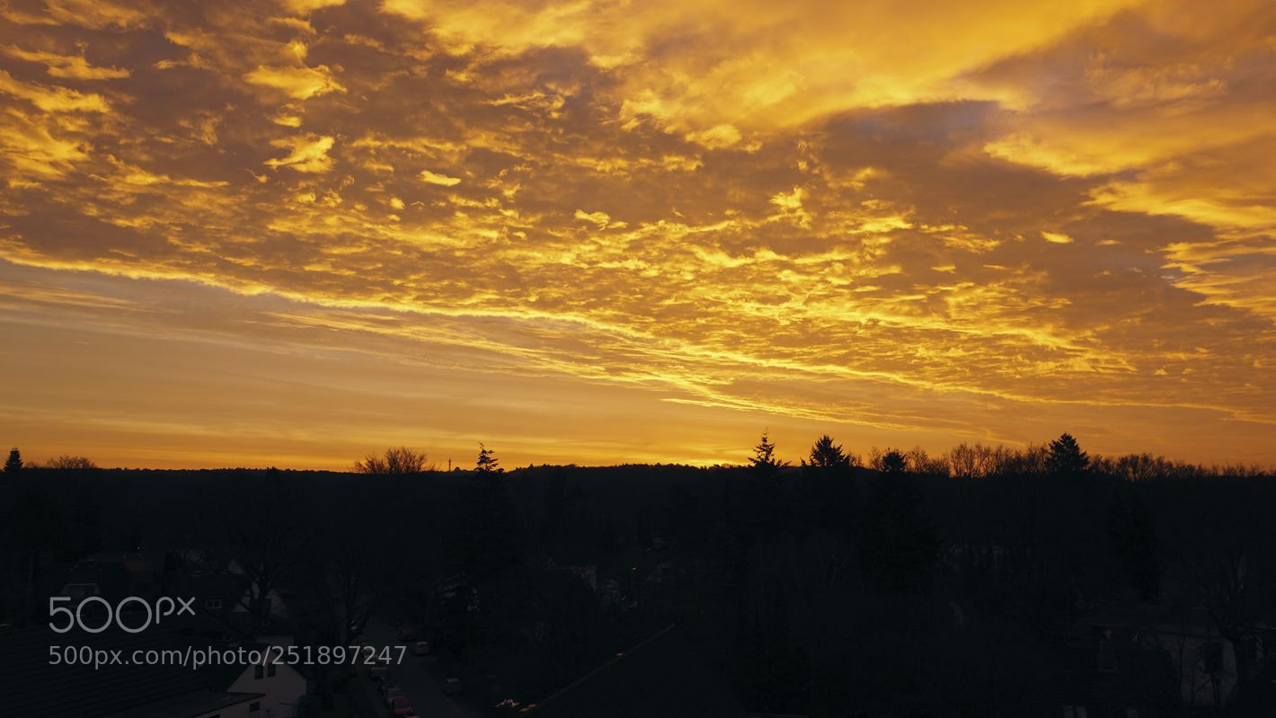 Sony ILCA-77M2 sample photo. Sun3 photography