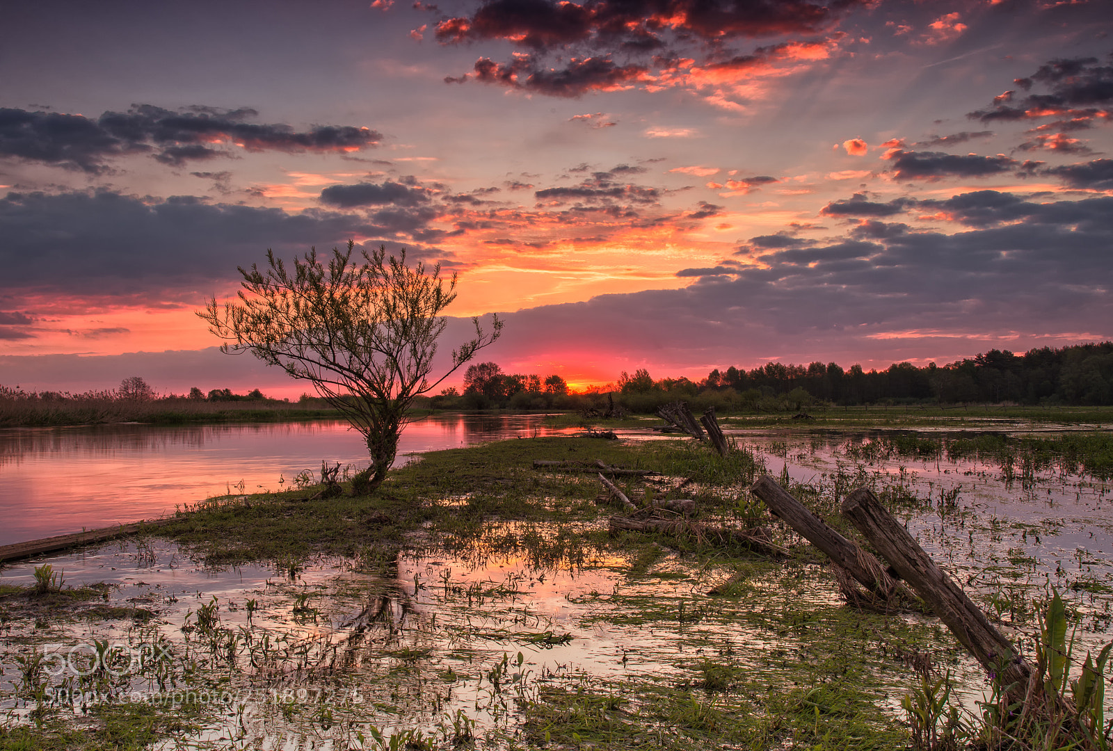 Nikon D610 sample photo. Dawn on the backwaters photography