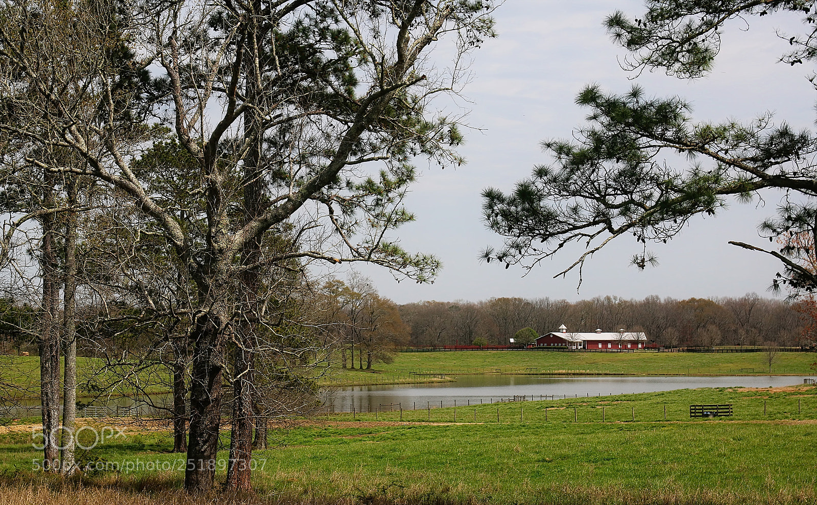 Canon EOS 70D sample photo. The dairy farm photography