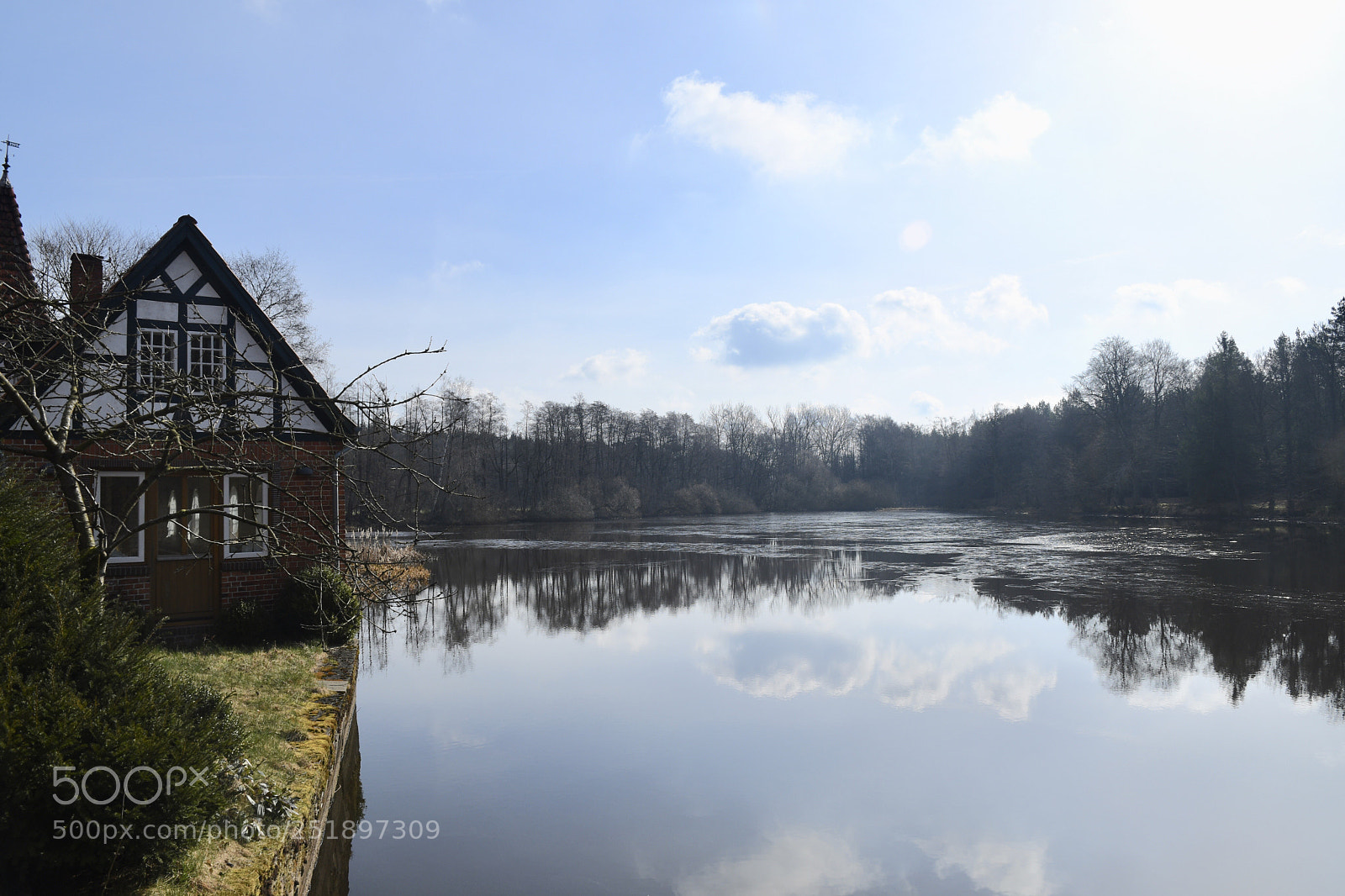 Nikon D500 sample photo. Untitled photography