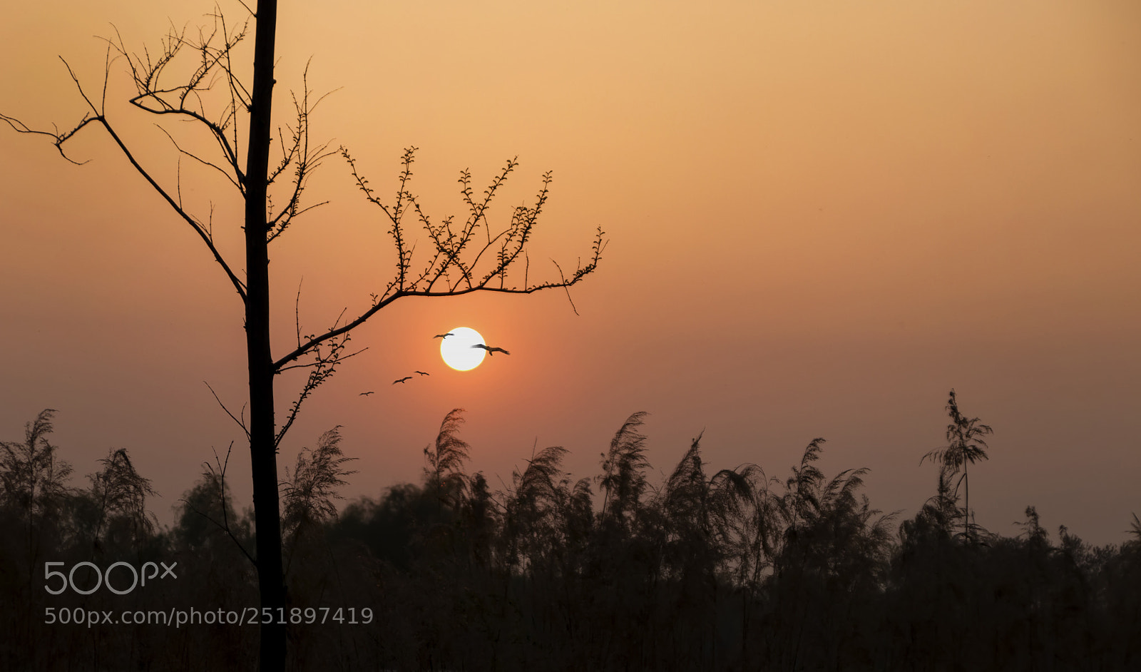 Canon EOS 80D sample photo. 夕阳.jpg photography