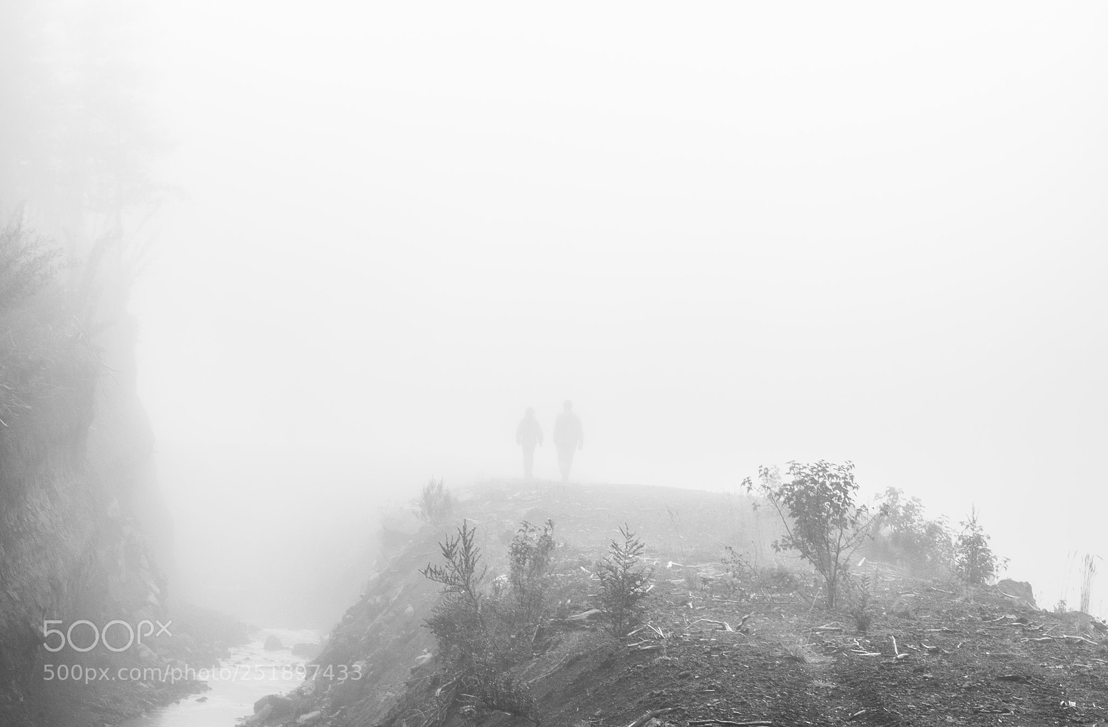 Nikon D5200 sample photo. Fog_1.jpg photography