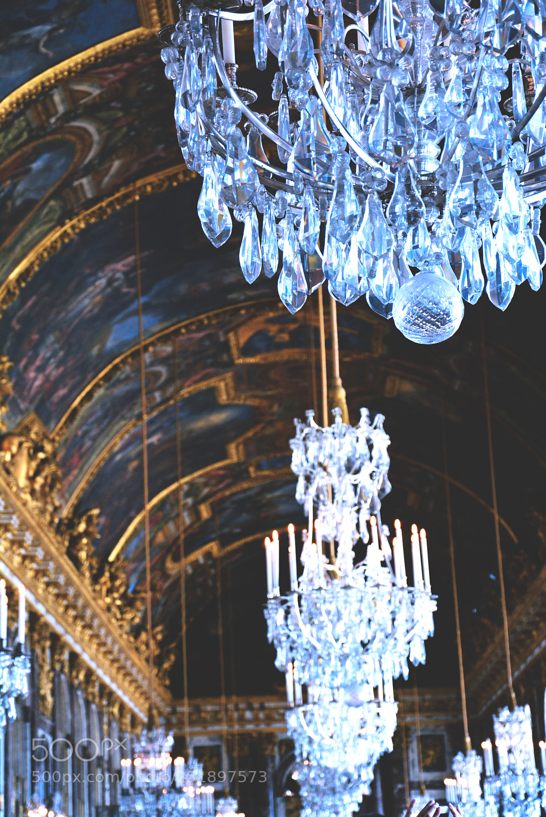 Nikon D5200 sample photo. Versailles photography