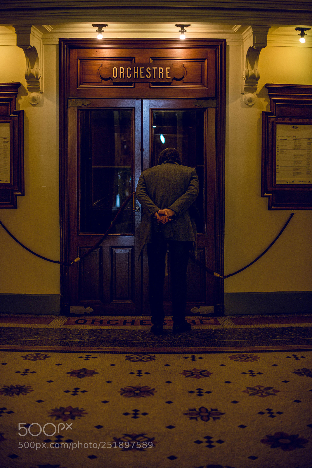 Nikon D610 sample photo. Where the orchestra goes photography