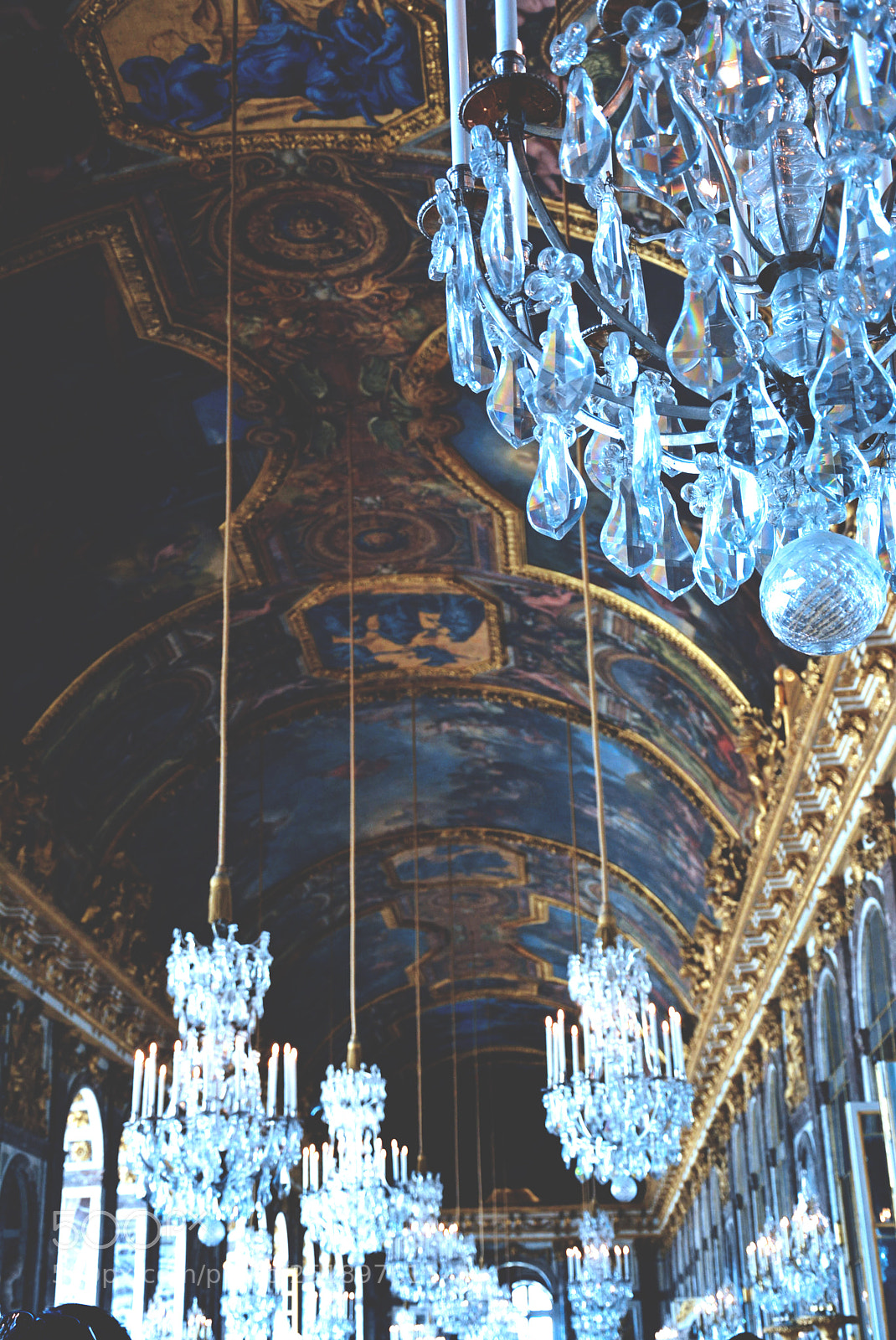 Nikon D5200 sample photo. Versailles photography