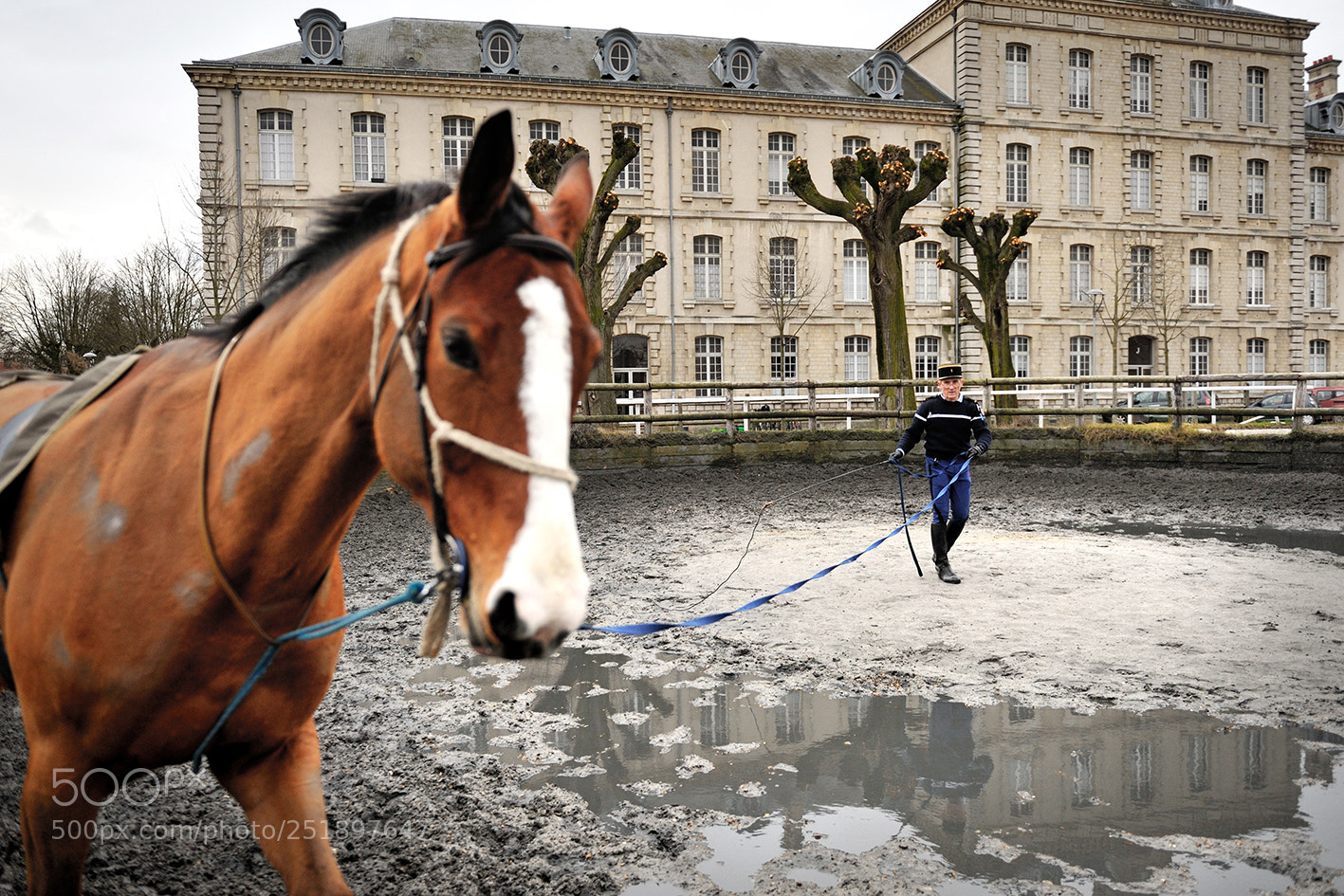 Nikon D700 sample photo. Garde républicaine photography