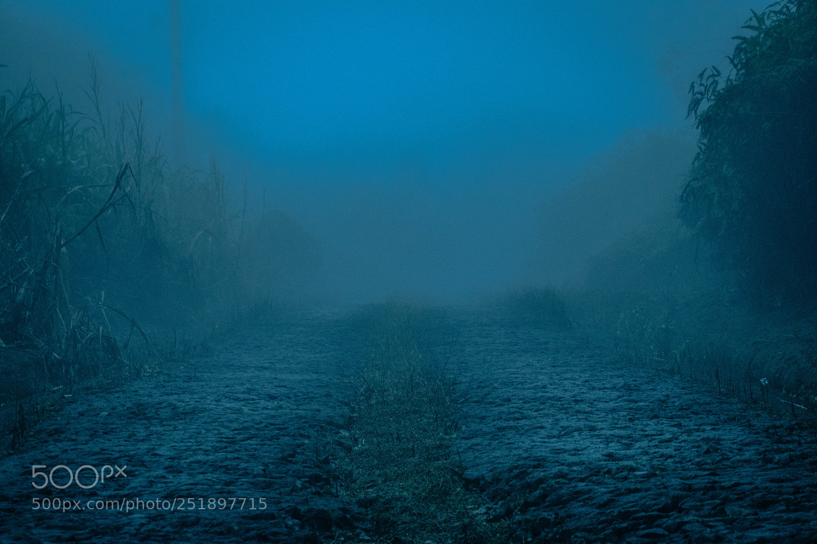 Nikon D5300 sample photo. Silent hill photography