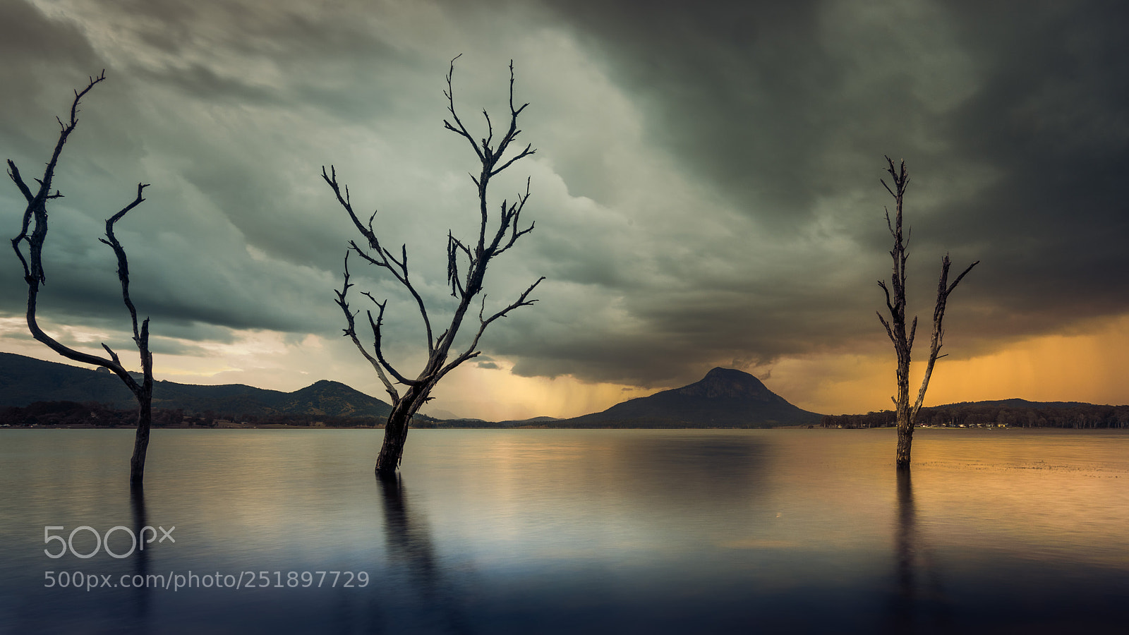 Nikon D810 sample photo. Lake moogerah photography