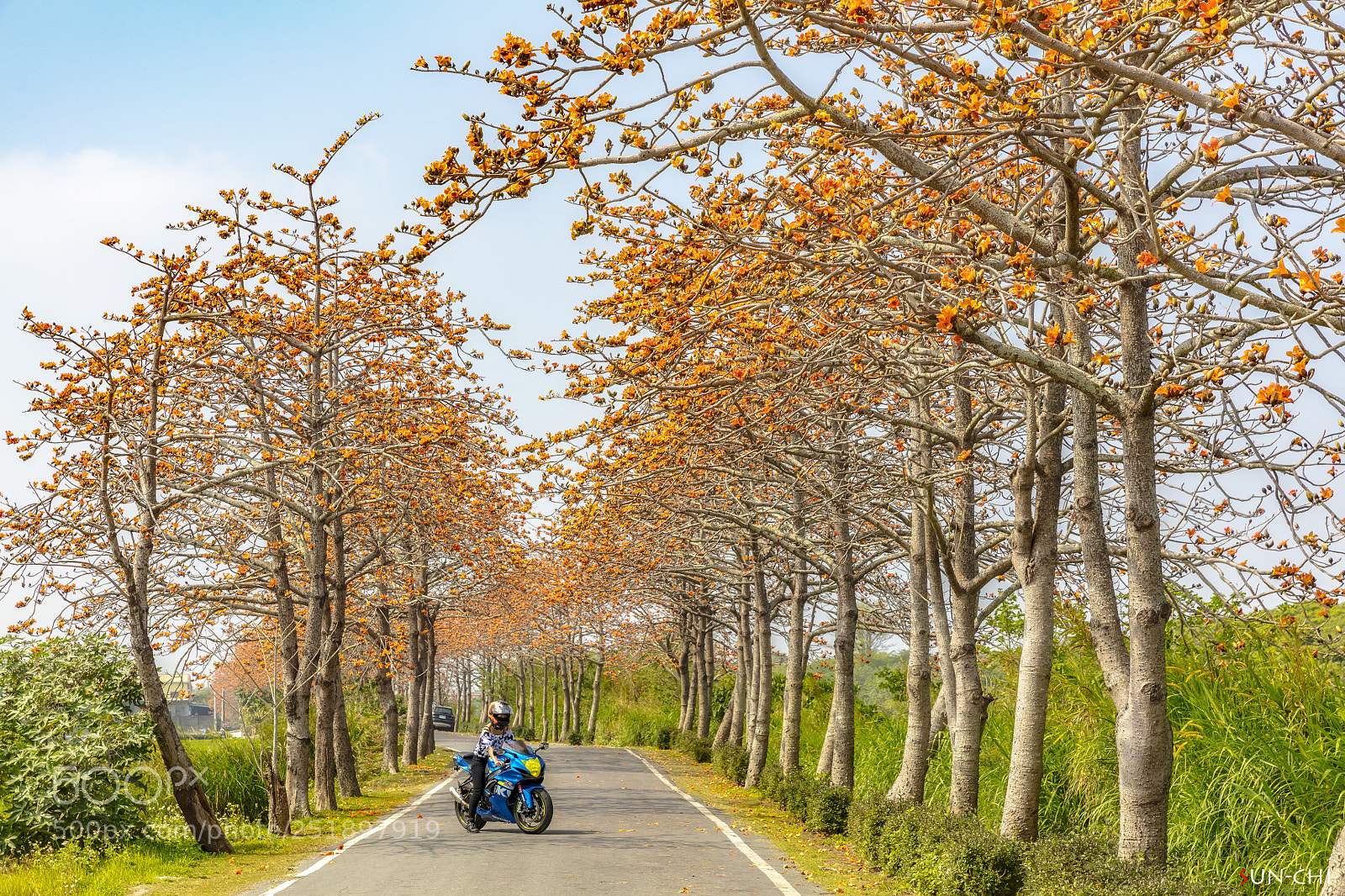 Canon EOS 5DS sample photo. 木棉奇遇 photography
