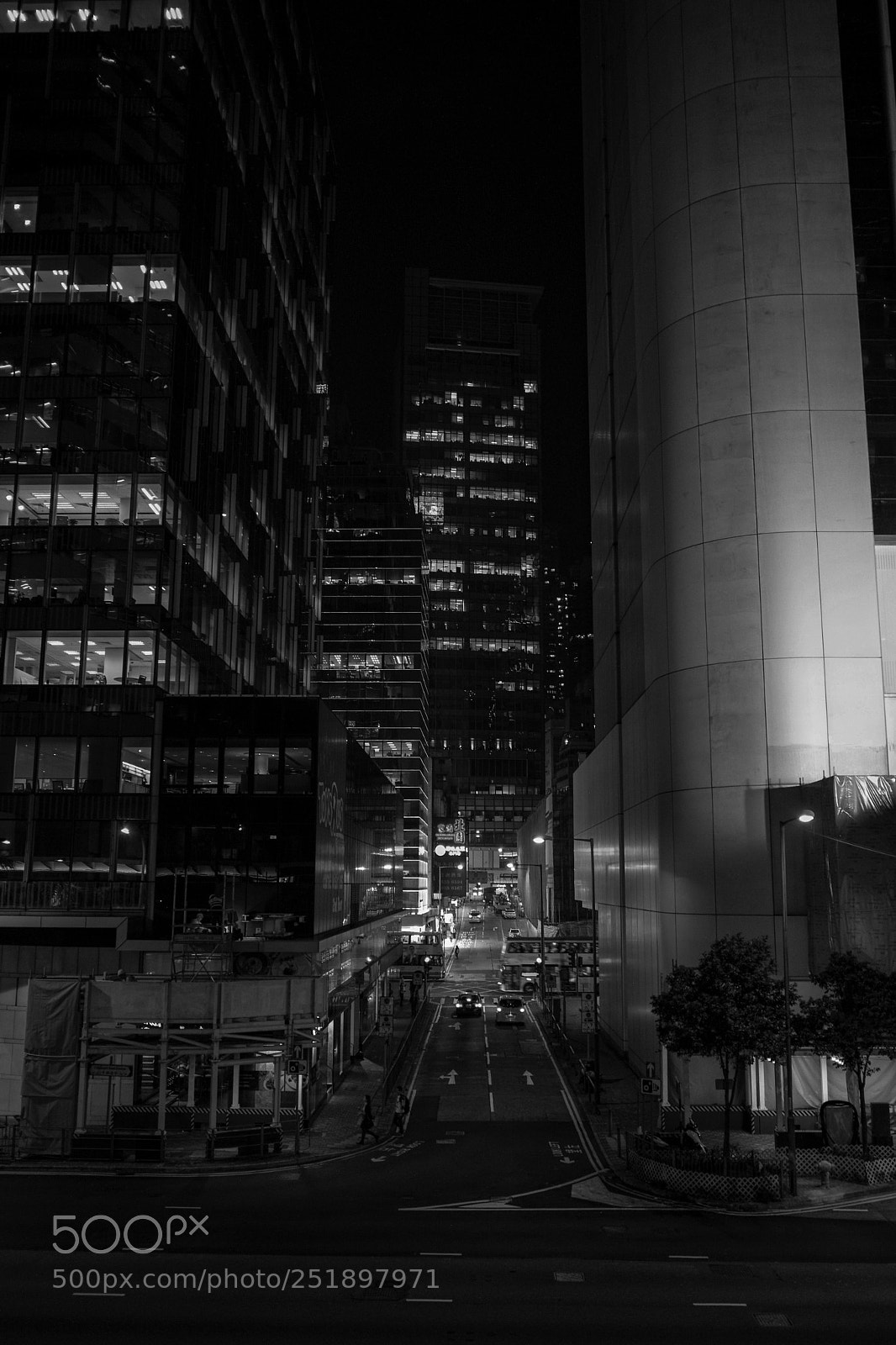 Leica M (Typ 240) sample photo. City forest 01 photography