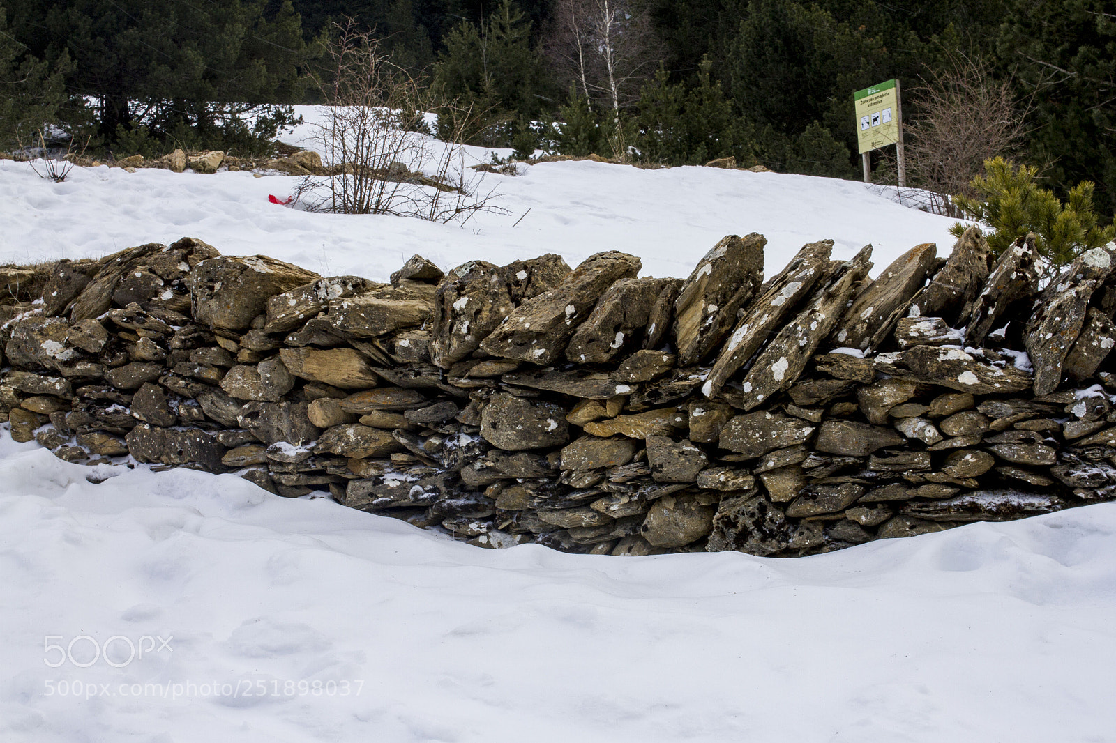 Canon EOS 7D sample photo. Snow photography