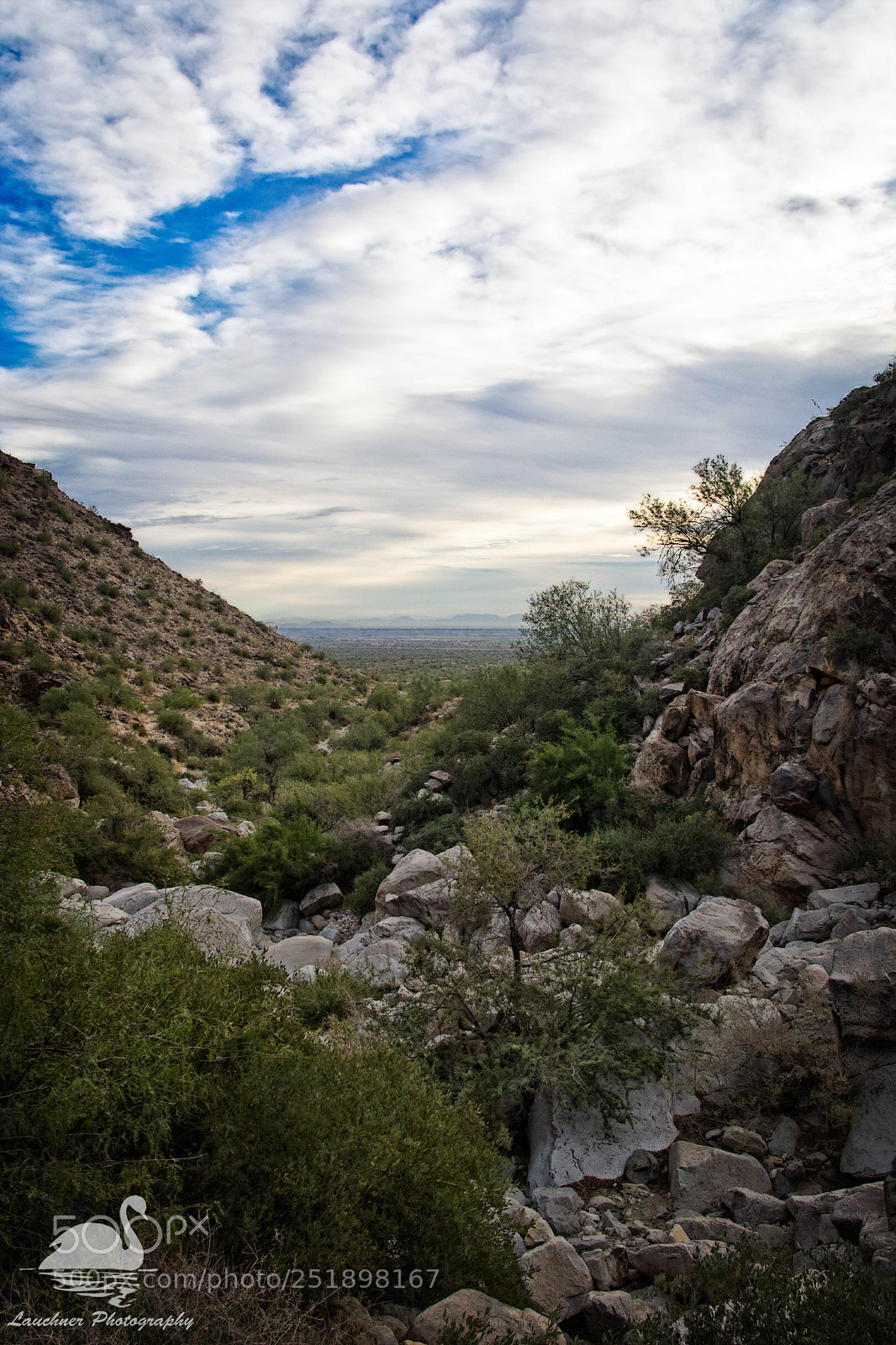 Nikon D5200 sample photo. White tank mountain regional photography