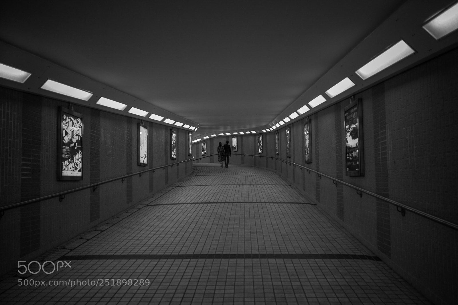 Leica M (Typ 240) sample photo. City forest 02 photography