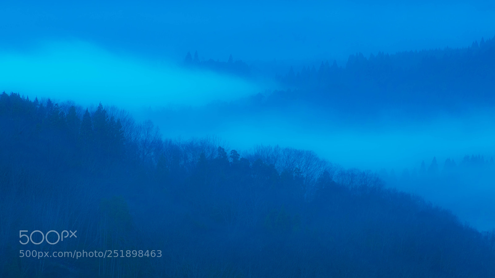 Canon EOS 5D Mark II sample photo. Blue photography