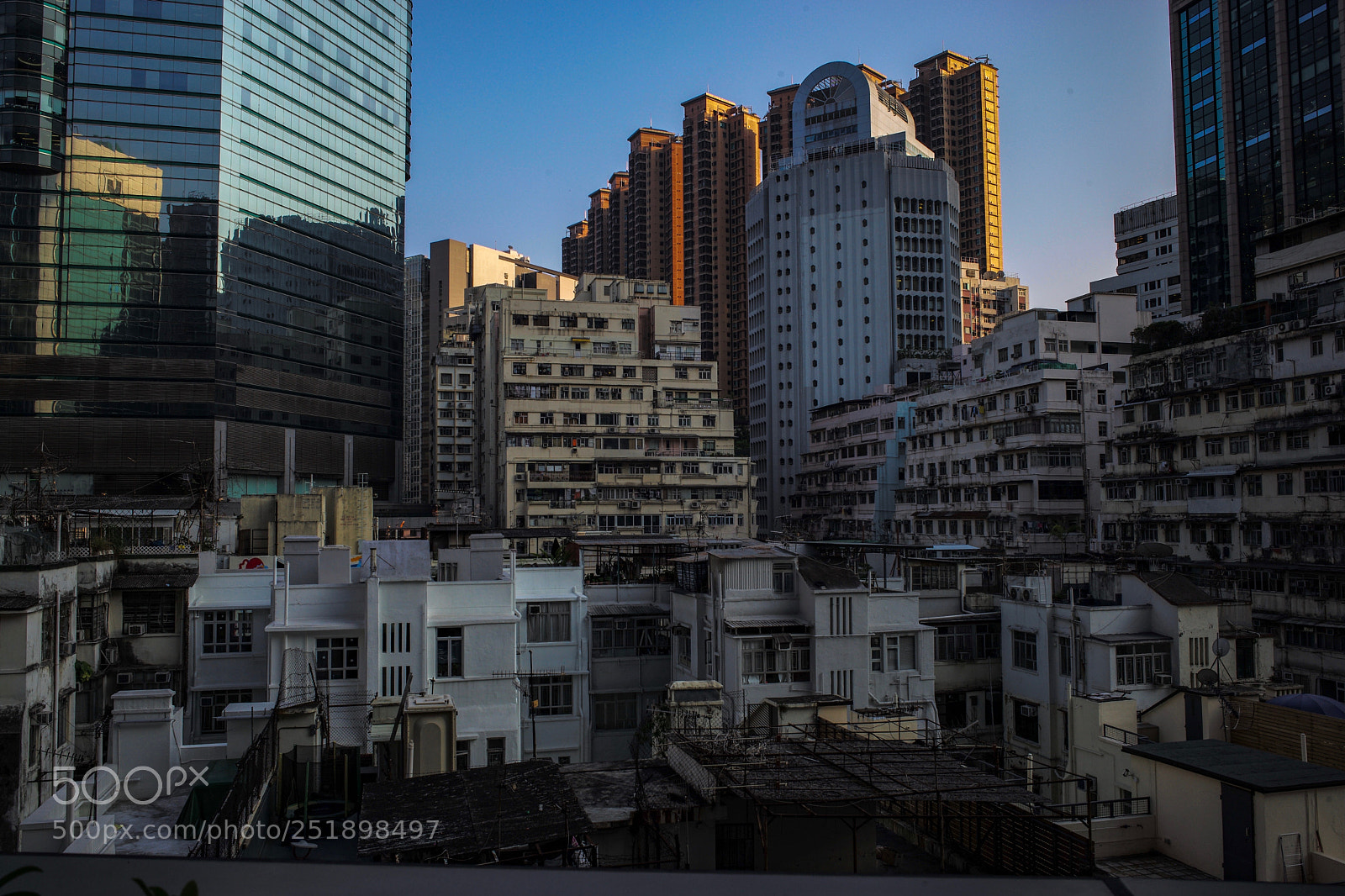 Leica M (Typ 240) sample photo. City forest 03 photography
