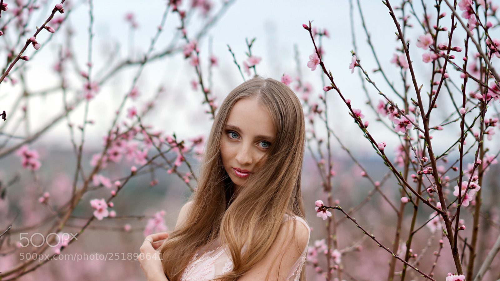 Sony a7R II sample photo. Untitled photography