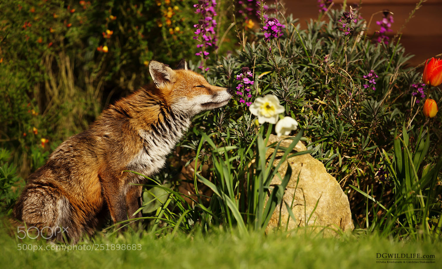 Canon EOS-1D X sample photo. Smelling the flowers photography