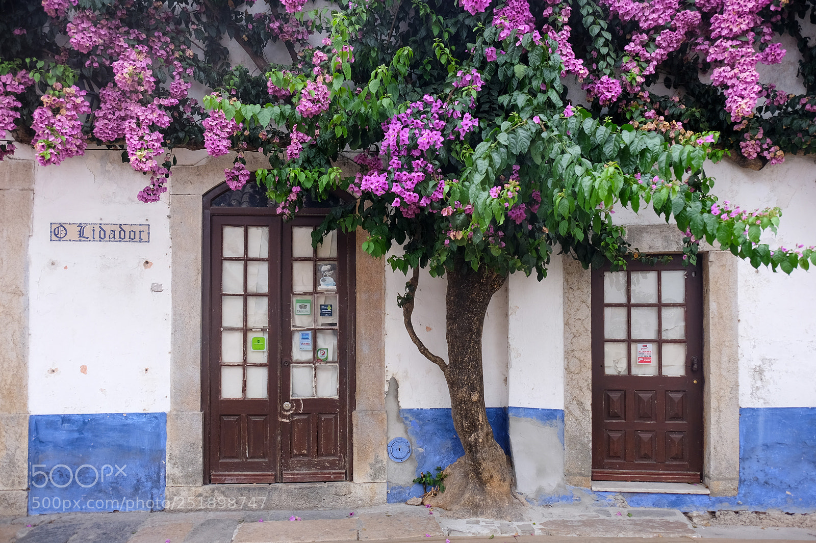 Fujifilm X-T1 sample photo. Obidos photography