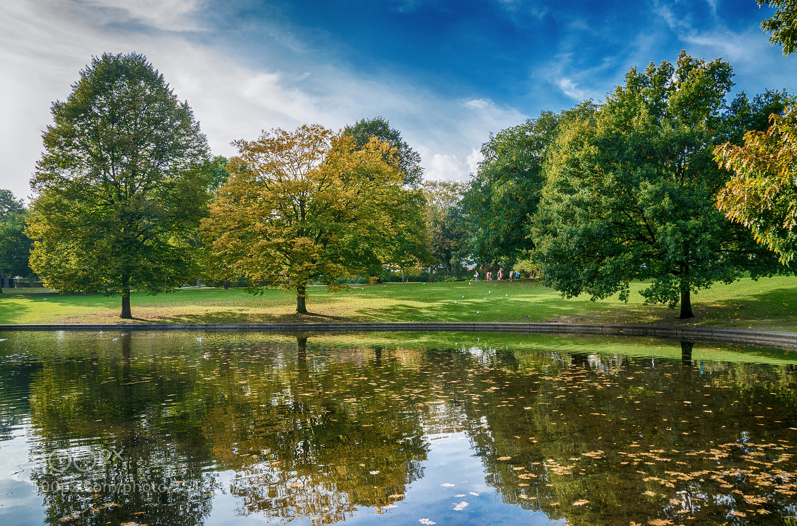 Nikon D7000 sample photo. Im park photography