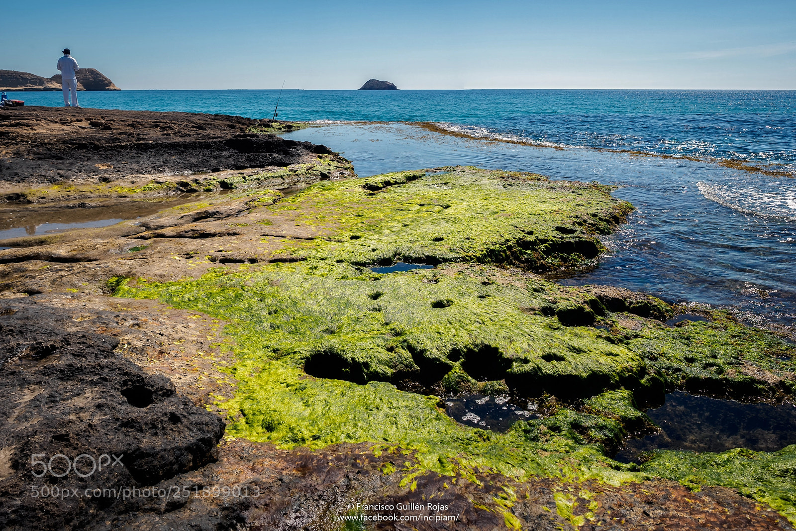 Olympus OM-D E-M5 II sample photo. Mediterranean fisherman in green photography