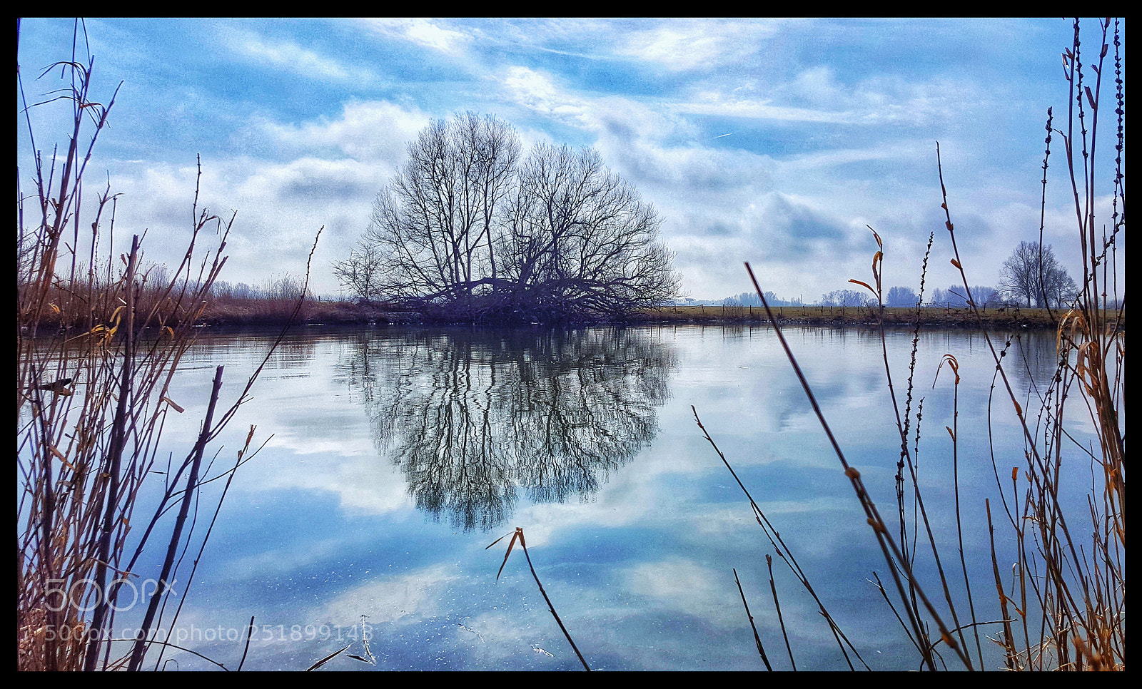 Samsung Galaxy S6 sample photo. Untitled photography